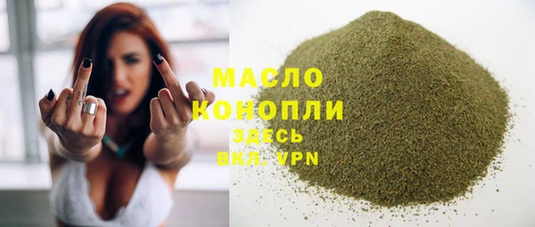 твердый Надым