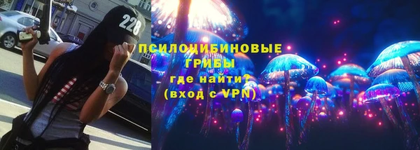 дмт Алексин