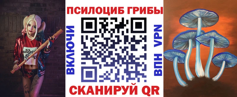 MEGA ссылки  Шебекино  Псилоцибиновые грибы Psilocybine cubensis 